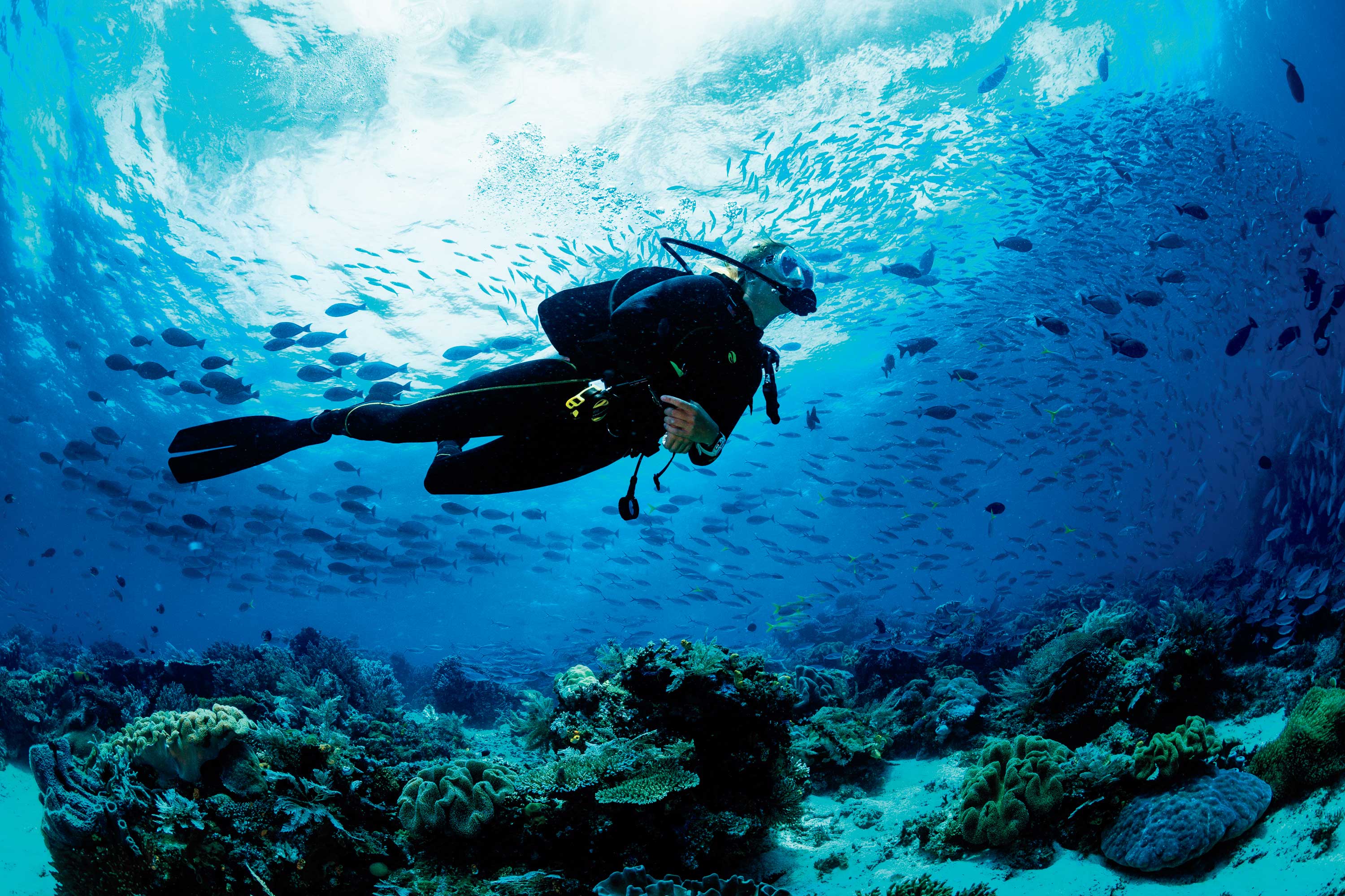 preisliste-adriatic-diving-center
